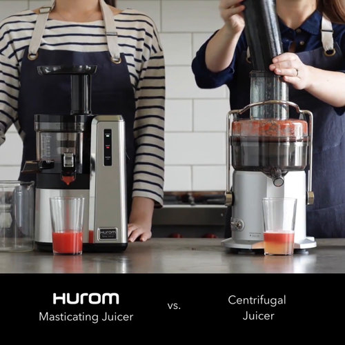 Hurom HZ Alpha Series 43 Speed Stainless Steel Slow Masticating & Cold